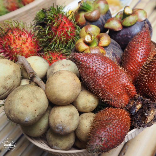 Suan Phuyai Sawet fruits orchard 18
