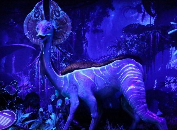 The world of Avatar comes to Bangkok in innovative exhibition 2