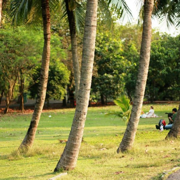 Suan Sri Nakhon Khuean Khan Park 19