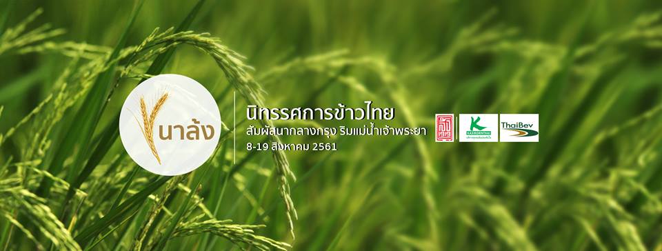 Lhong rice farm 01